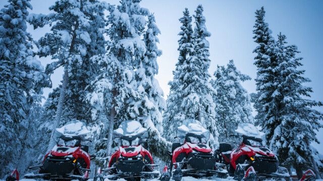 Four brightly colored red and black snowmobiles near Lapland forest. Vehicles parked in line near high firs in Lapland, Finland. Heavy snow on trees and ground. Winter seasonal landscape.